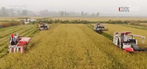 農業高質量發展成效顯著 農業科技進步貢獻率達62.4