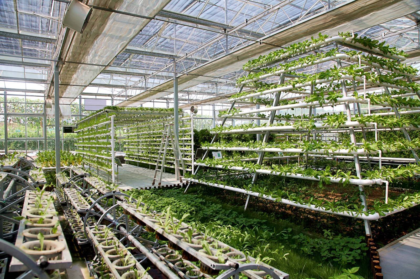 做大做強 西充爭當中國西部有機農業&ldquo;排頭兵&rdquo;