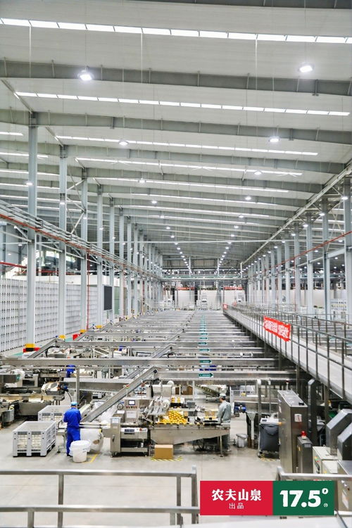 拼多多直播溯源農夫山泉17.5 橙, 百億補貼 助推橙中之王