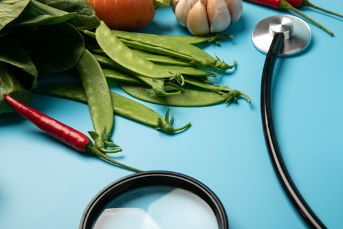 聽診器大蒜食品安全農業科技食品培育攝影圖 插畫 下載至來源處