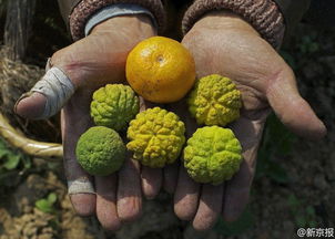 湖南桃源被污染 多名村民患癌死亡
