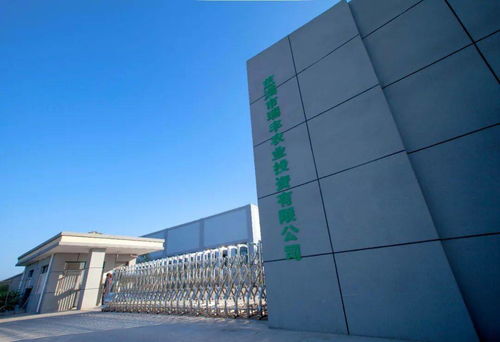 省級金獎 開發(fā)區(qū)這家公司的精品鮮菇真不錯(cuò)