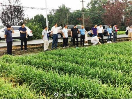 農(nóng)業(yè)農(nóng)村部農(nóng)產(chǎn)品質(zhì)量安全監(jiān)管司到成都市郫都區(qū)調(diào)研農(nóng)藥殘留治理工作