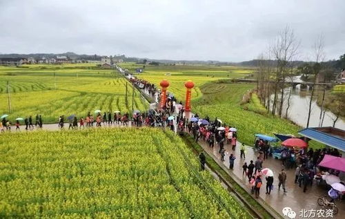 10個(gè)農(nóng)業(yè)新玩法,有些人正用這些賺錢