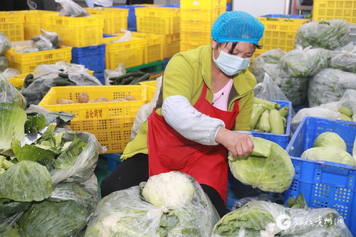 遵義匯川 智慧對接 農產品更暢銷