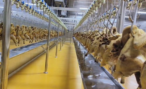 豐都非遺陶壇 酵醒美味，振興農業