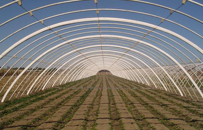 安陽市佳和農業 專業品質，護航現代農業——大棚配件廠家的卓越實踐